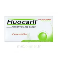 Fluocaril Bi-fluoré 250 Mg Pâte Dentifrice Menthe 2t/125ml à Lherm
