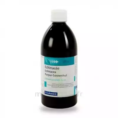 Eps Phytostandard Echinacée Extrait Fluide Fl/500ml à Lherm